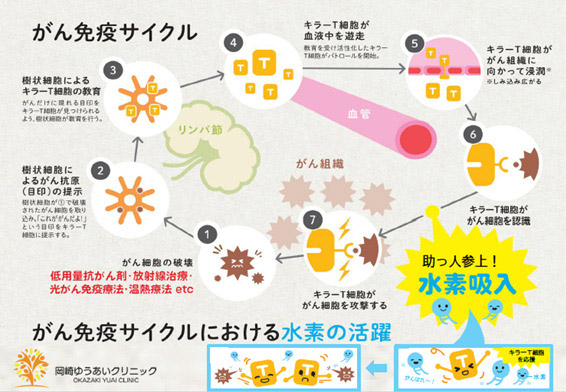 がん免疫サイクルにおける水素の活躍