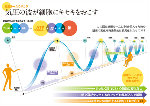 気圧の波が細胞にキセキをおこす